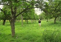 Severn Way Stage 23 220511 038
