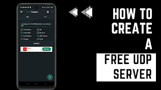 How to Create a free UDP request server for Http Custom