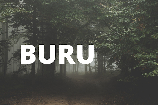 Definition of the phoneme BURU: Image of a Dark Misty Forest