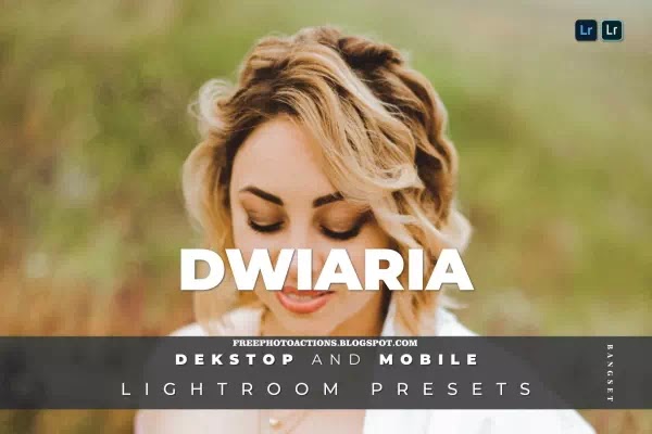 dwiaria-desktop-and-mobile-lightroom-preset-89gtvpu