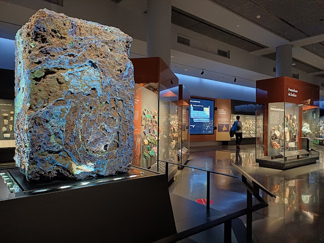 Museu Americano de História Natural, Nova Iorque