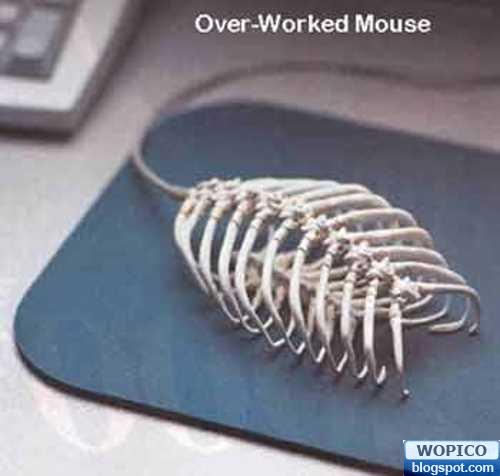 Skeleton Mouse