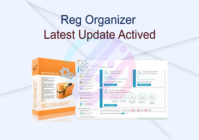 Reg Organizer 9.20 Beta 2 + Activator