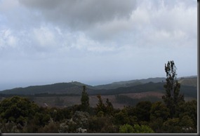 IMG_3729