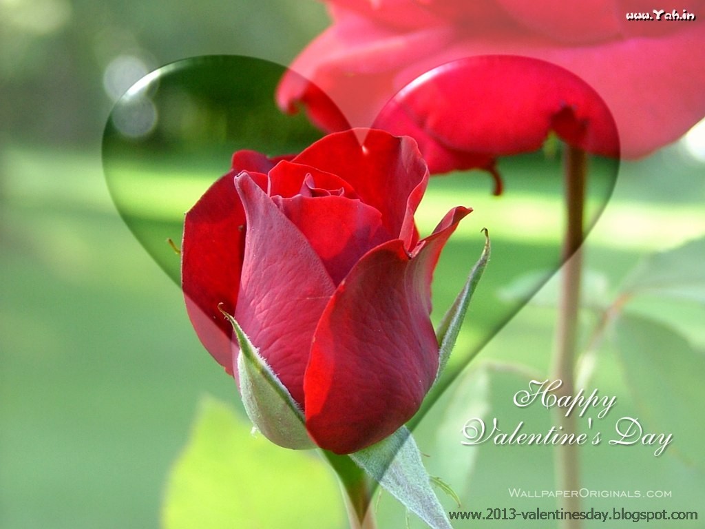 11. New Latest Happy Rose Day 2014 Hd Wallpapers