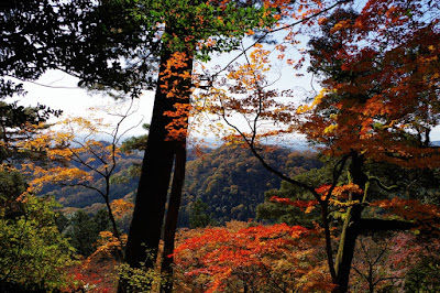 紅葉と佐野市街