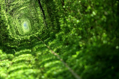 Tunnel of Love in Klevan - Ukraine