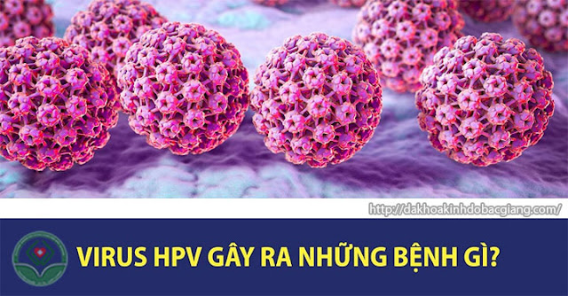 Bệnh HPV là gì? HPV có gây ung thư không?