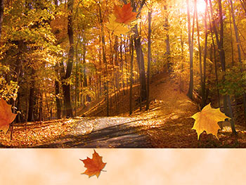 Fall Wallpaper on Fall Leaves Wallpaper