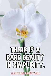 There is a rare beauty in simplicity.