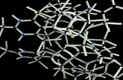 How is the DNA in the air identified?