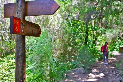 Levada do Risco às 25 Fontes