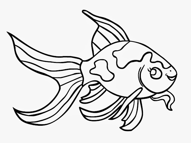 Cute Best Fish Drawing HD Wallpaper Free