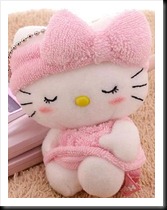 the silent kitty
