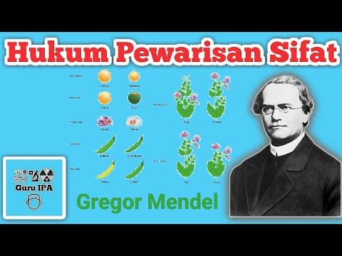 Hukum Penurunan Sifat Mendel