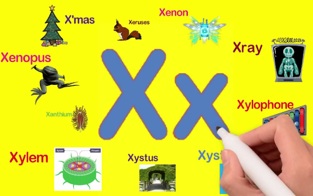 Words That Start With X
