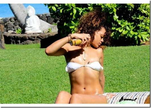 rihanna-perfect-day-358689