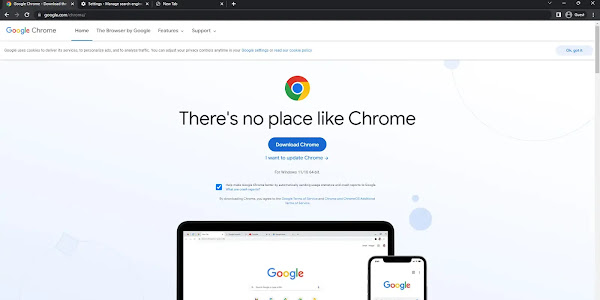 Google Chrome 114.0.5735.91