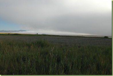 DSC_2695