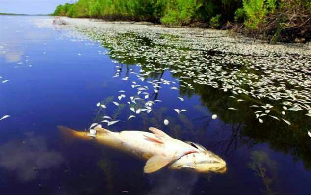 10 Most Toxically Polluted Places In The World