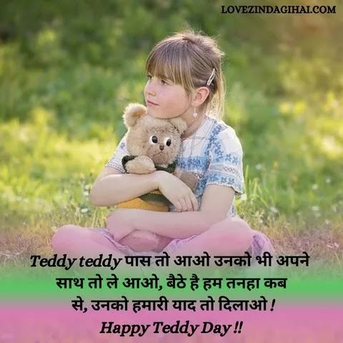 Teddy Day Shayari In Hindi
