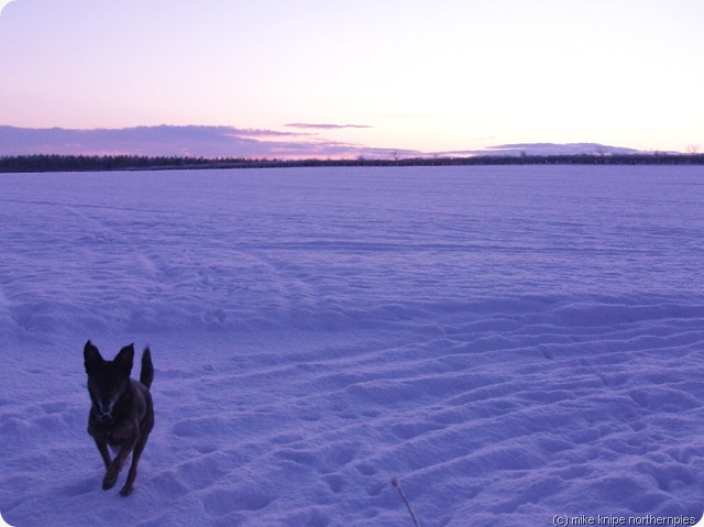 snow morningsolstice 003