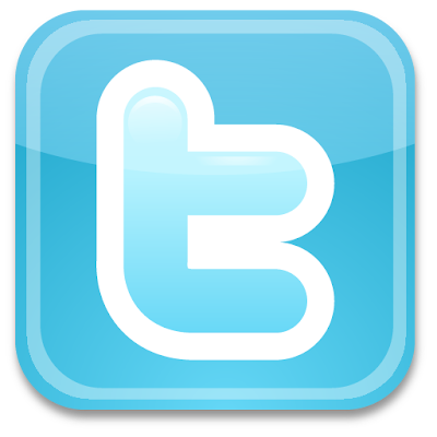 twitter logo 7 Cara Melindungi Akun Twitter