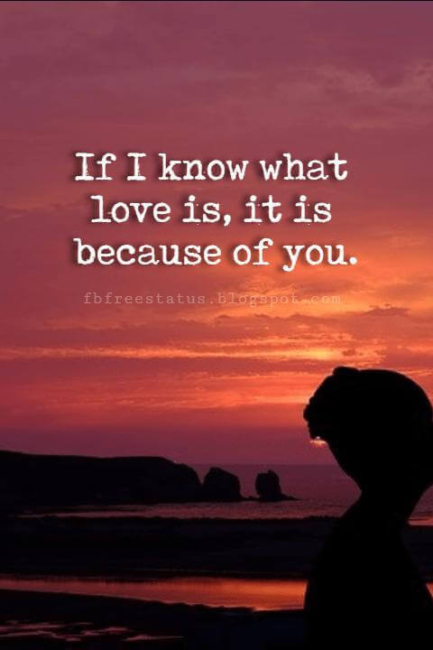 Happy Valentines Day Quotes, If I know what love is, it is because of you.