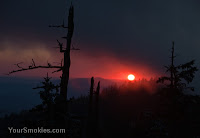 Up at Clingmans Dome you can enjoy the Christmassy smell of the fir trees and great views of the national park