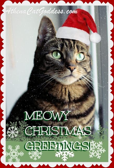 caturday art meowy xmas