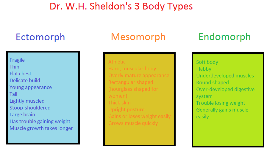 Endomorph diet For constructing Muscle