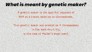 what is meant by genetic maker?