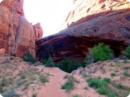 Morning Glory Natural Bridge