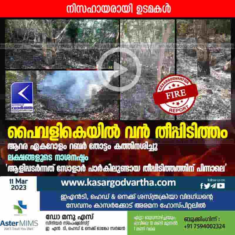 Kasaragod, Kerala, News, Top-Headlines, Uppala, Latest-News, Fire, Fire force, Paivalika, Solar-products, Farmer, Farm workers, Fire breaks out in rubber plantation.
