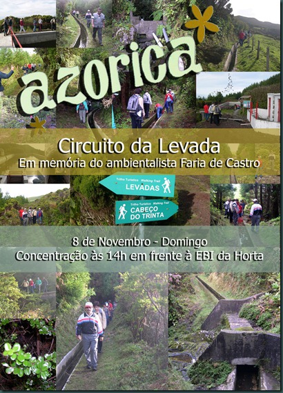 Cartaz Levada