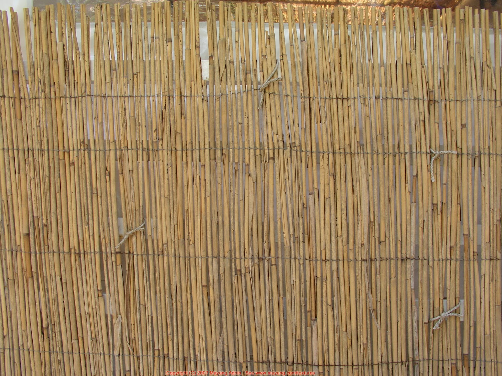 Bamboo Grove Photo: Bamboo Fence