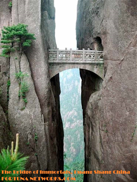 <img src="#The World’s Scariest Bridges.jpg" alt=" 10 of The World’s Scariest Bridges@Asian Countries">