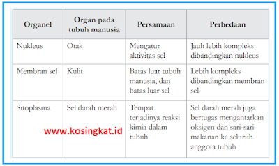 tabel persamaan dab perbedaan organel pada tubuh manusia