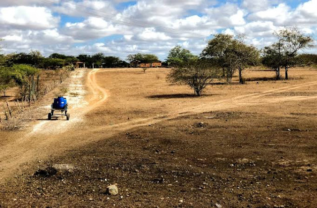 Ceará: Dezoito cidades decretam emergência por seca