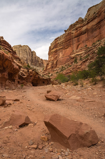 Cassidy Arch Trail, Capitol Reef National Park