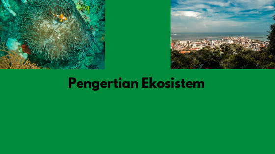 Pengertian Ekosistem