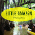 Little Amazon
