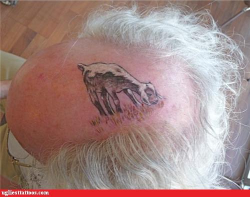 "Bad (Not Bad Ass) Tattoo" : Eaten Hair