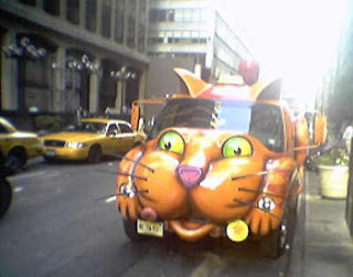 cat car smiling