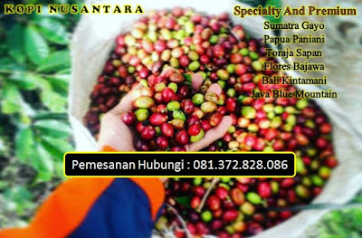 Jual grosir kopi nusantara enak murah surabaya – 081.372.828.086