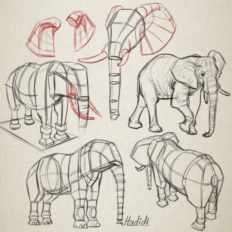 06-Elephant-tusks-Pencil-Tutorials-Hamid-Hadidi-www-designstack-co
