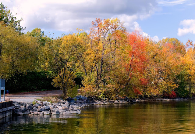 Lovely fall foliage against a rocky shoreline, with a road peeking out from behind.