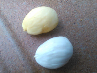 marcona blanca