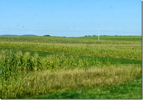 P1060288