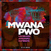 Liambilson's x Afro Pupo x Homeboyz - Mwana Pwo (Original Mix) 